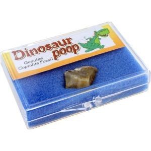 Photo of the Dinosaur Poop Natural Educational Box