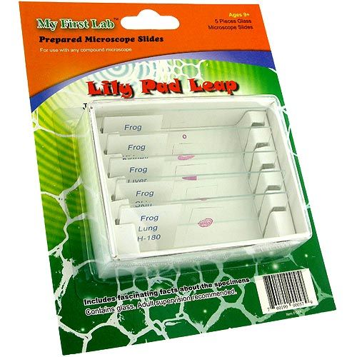 leap pad water float