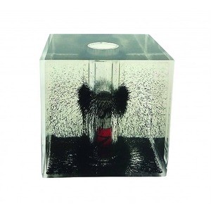 Photo of the Magnetic Field Cube