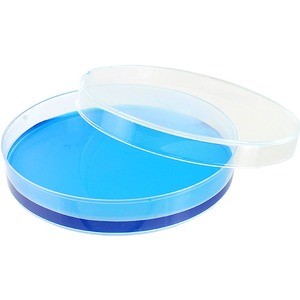 Photo of the Plastic Petri Dish - 85mm