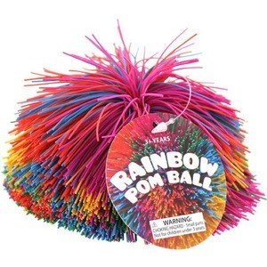 Photo of the Rainbow Pom Ball